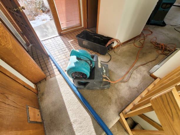 Best Flood restoration services  in Loveland, OH