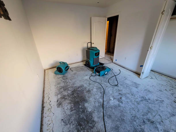 Best Commercial water damage restoration  in Loveland, OH