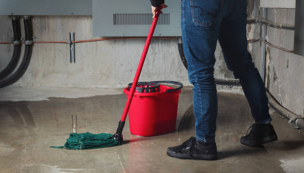 Best Carpet water damage restoration  in Loveland, OH