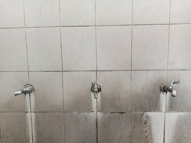 Best 24-hour water damage restoration  in Loveland, OH