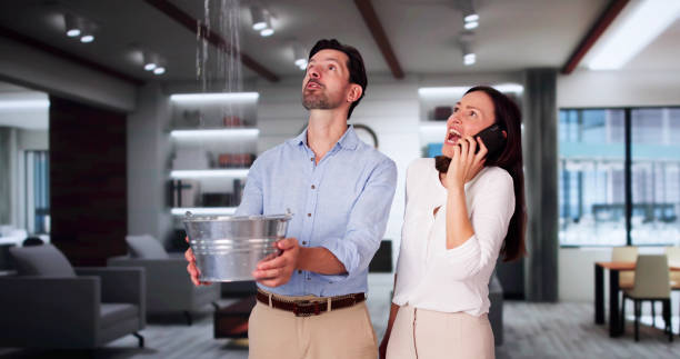 Best 24/7 water damage repair  in Loveland, OH