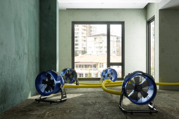 Best Carpet water damage restoration  in Loveland, OH